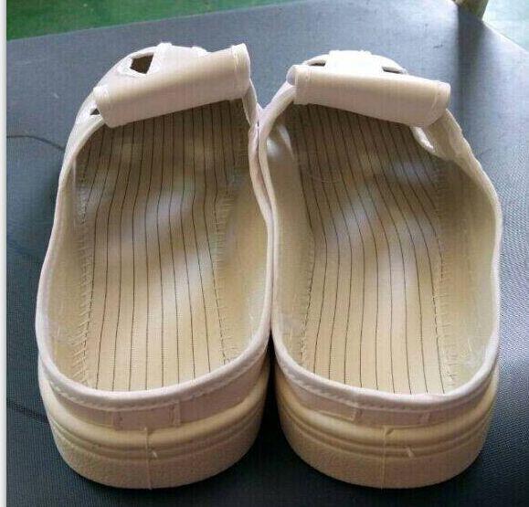 esd canvas slipper.jpg